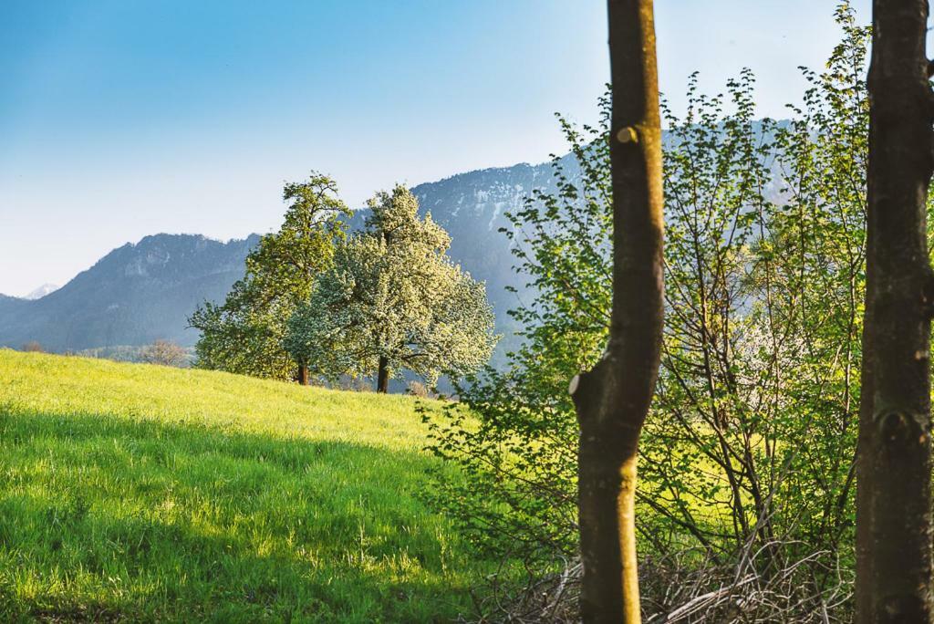 Micheldorf in Oberösterreich Auszeit Beim Oswald 빌라 외부 사진